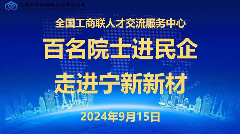 “百名院士进民企”-走进宁新新材