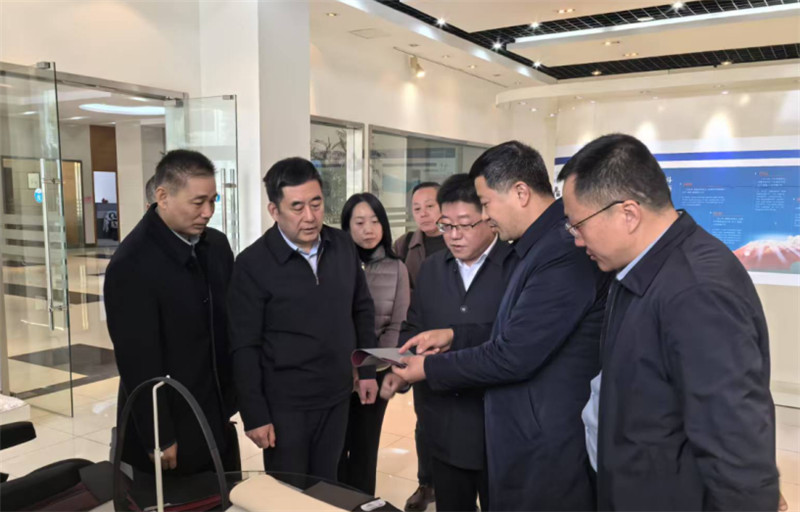 国工商联人才交流服务中心李树林主任贝尔特福调研指导