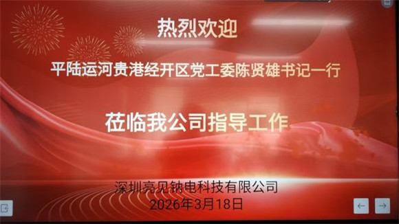 院士助力钠电池项目落户广西贵港
